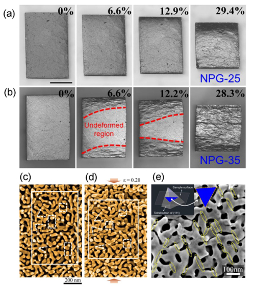 纳米多孔金的均匀与非均匀变形 纳米多孔金的均匀与非均匀变形