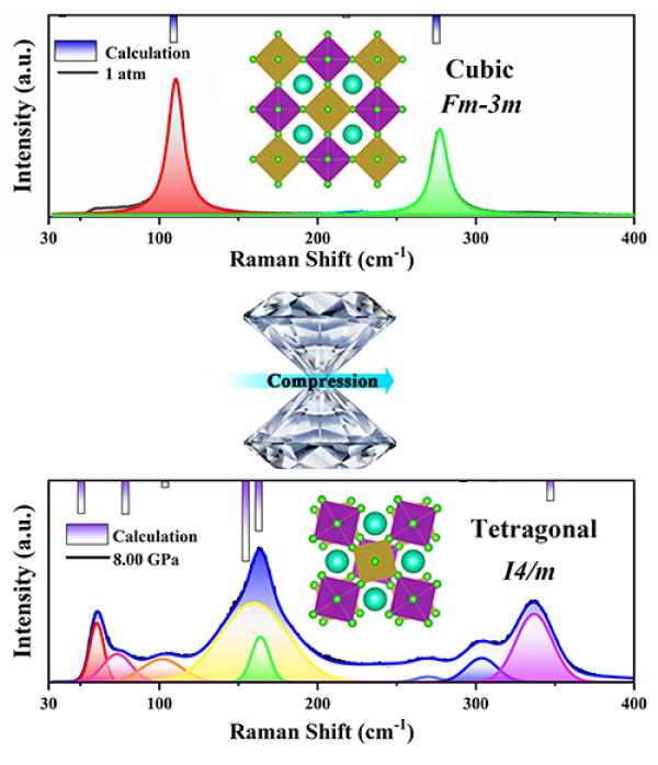 大连化物所利用自主研制的极端条件下稳态和瞬态综合光谱表征系统,揭示了高压下Cs2NaBiCl6晶体的发光机理 大连化物所利用自主研制的极端条件下稳态和瞬态综合光谱表征系统,揭示了高压下Cs2NaBiCl6晶体的发光机理