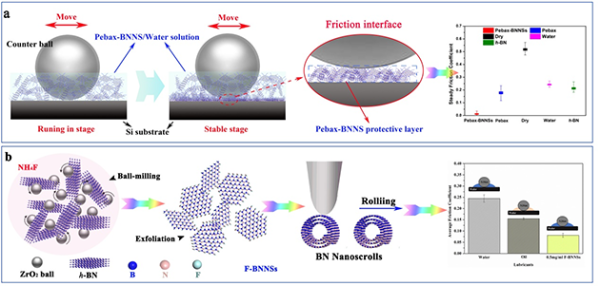 h-BNNSs剥离和功能化示意图及摩擦学性能 h-BNNSs剥离和功能化示意图及摩擦学性能