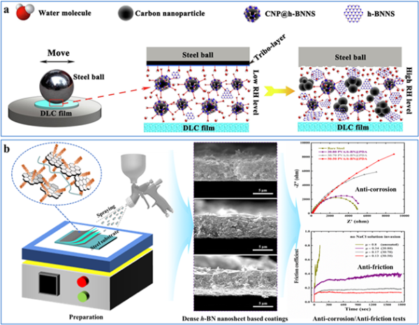 h-BNNSs在潮湿环境条件下优化摩擦学性能机制 h-BNNSs在潮湿环境条件下优化摩擦学性能机制
