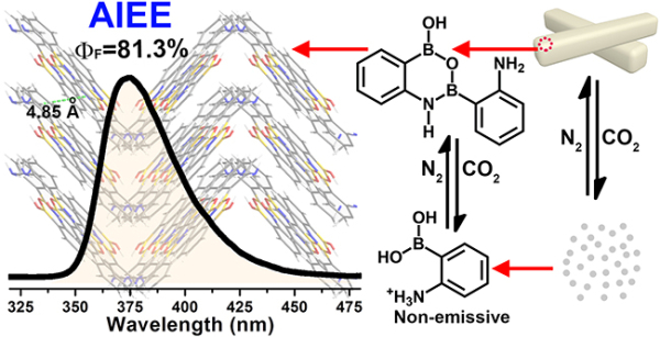 研究发现一种全新的聚集诱导发光增强（AIEE）分子：2-氨基苯硼酸二聚体