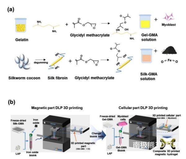 复合磁性水凝胶的制备与打印过程 复合磁性水凝胶的制备与打印过程
