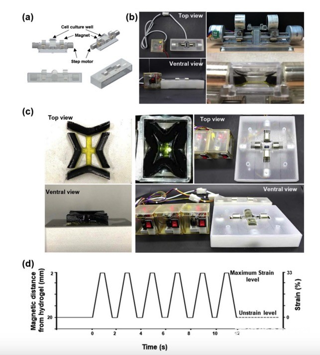 磁力生物反应器系统 磁力生物反应器系统