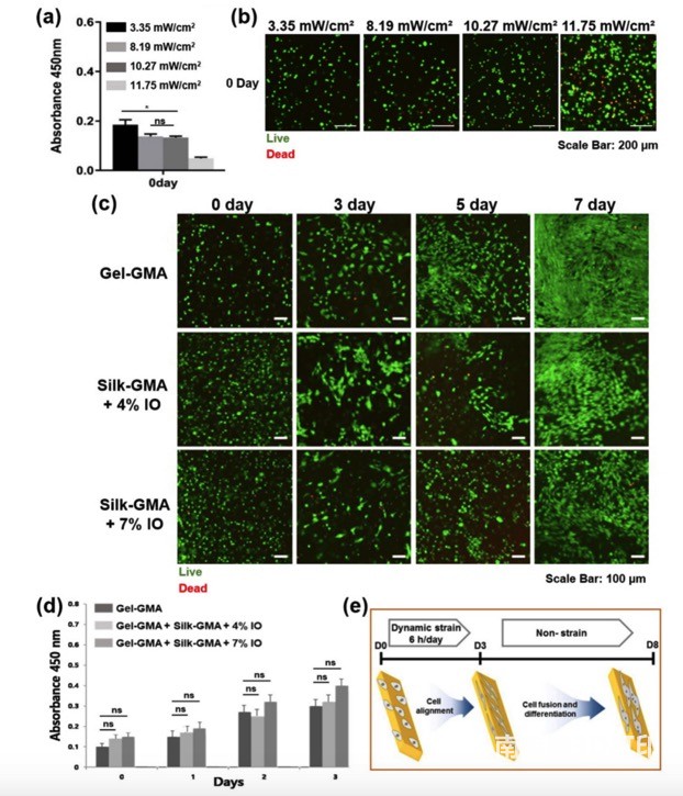 复合磁性水凝胶的细胞活性分析 复合磁性水凝胶的细胞活性分析