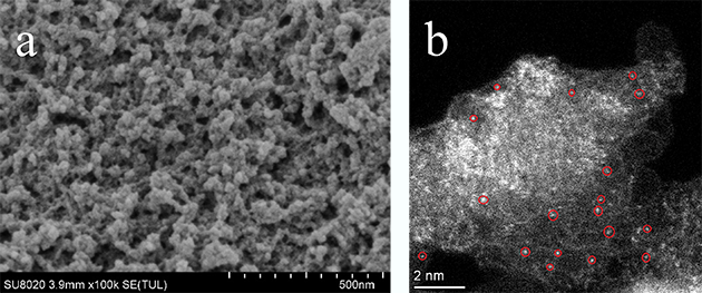 催化剂STEM和HAADF-STEM表征图