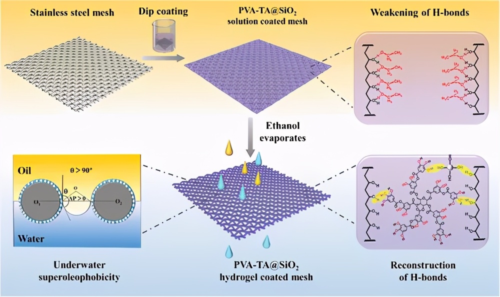 浸涂法制备PVA-TA@SiO2修饰SSM及其油水分离机理