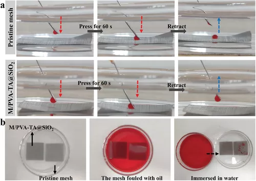 电子科大：制备用于油/水分离的坚固水凝胶涂料、一种溶剂调节的氢键交联策略