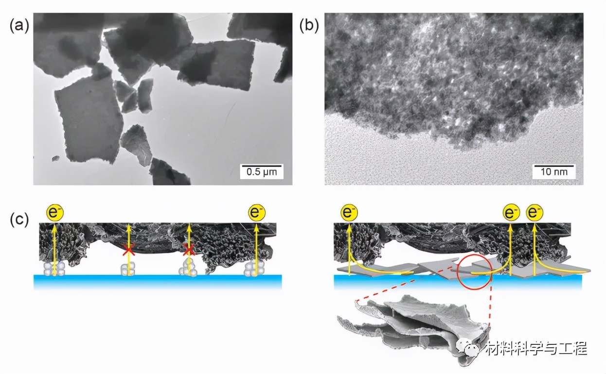 a，b)Ni95Ir5前驱体合金脱合金化形成的npIrx-NS的透射电子显微镜(TEM)照片