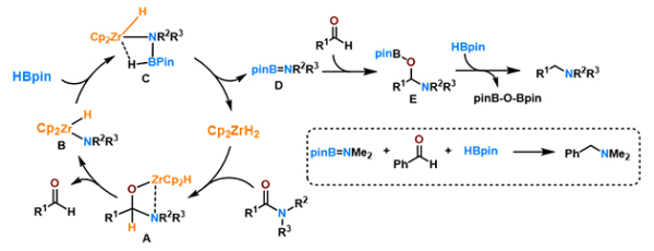 可能的酰胺还原的机理 可能的酰胺还原的机理
