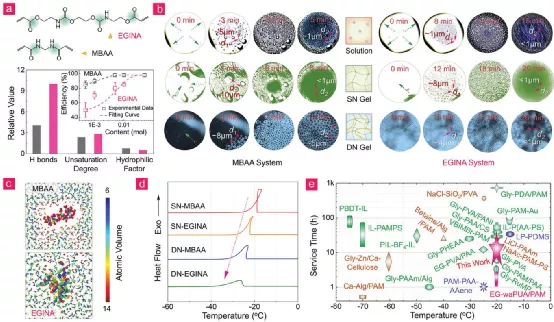 用于设计溶液和凝胶状态的内在聚合物防冻材料的 EGINA 交联策略 用于设计溶液和凝胶状态的内在聚合物防冻材料的 EGINA 交联策略