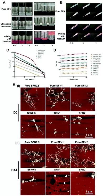 苏州大学:可注射的丝纳米纤维水凝胶作为干细胞载体加速伤口愈合 苏州大学:可注射的丝纳米纤维水凝胶作为干细胞载体加速伤口愈合
