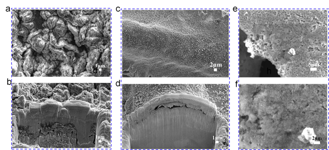 电极材料在锂沉积/脱出后的