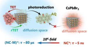 1631540024886132.jpg 大连化物所揭示熵效应调控的量子点延迟发光动力学机制.jpg