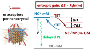 1631540056530690.jpg 大连化物所揭示熵效应调控的量子点延迟发光动力学机制2.jpg