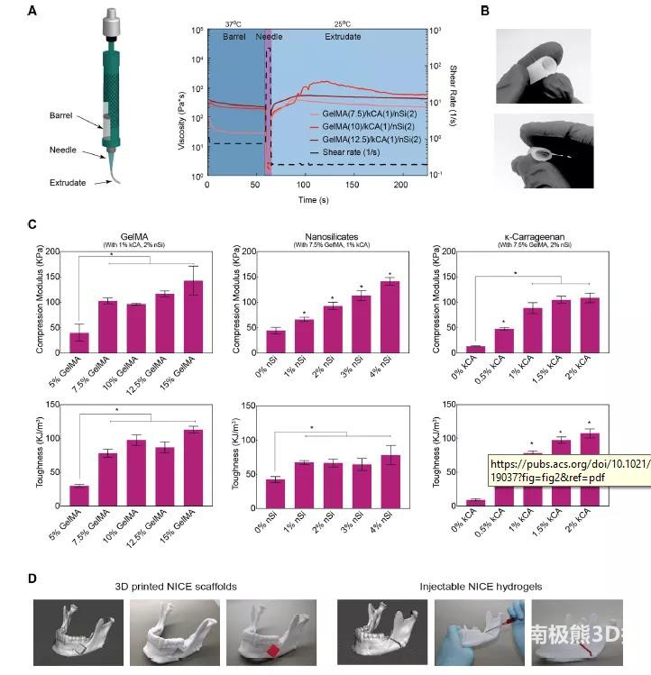 图2 NICE生物墨水的流变性和3D打印结构的力学性能