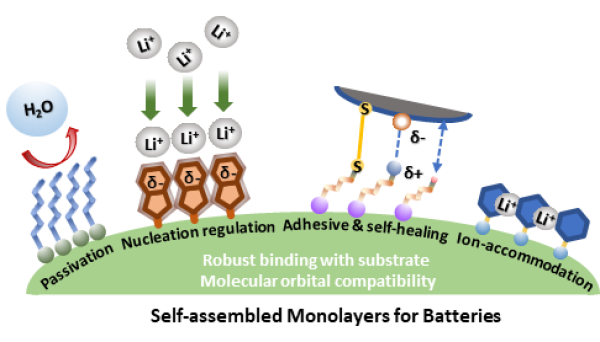 电池中的自组装单分子层的作用示意图 电池中的自组装单分子层的作用示意图