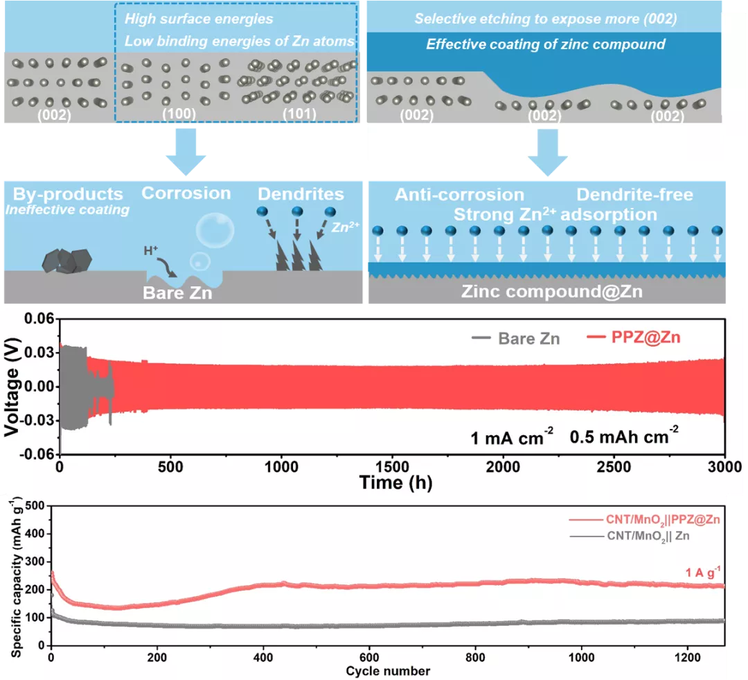 具有可控晶面织构和功能性锌化合物层的稳定锌金属负极