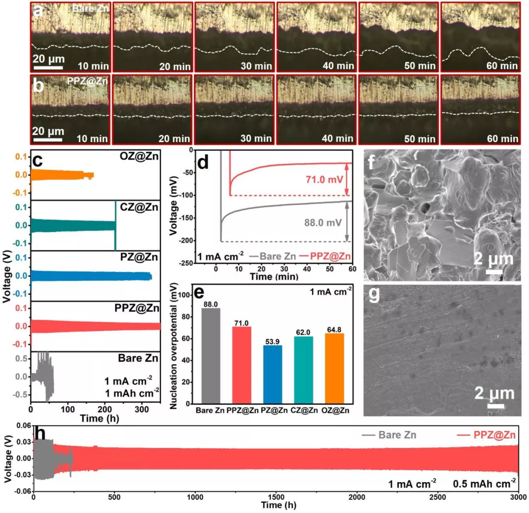 图3 PPZ@Zn负极锌沉积及对称电池性能