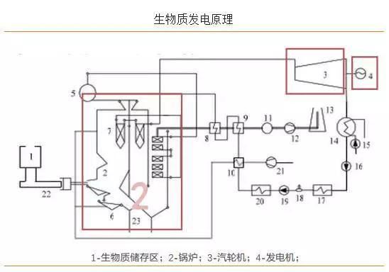 生物质发电凭什么这么受重视 生物质发电凭什么这么受重视