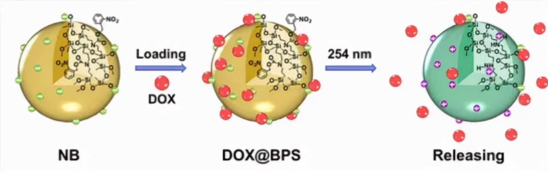 光响应有机硅功能材料研究取得重要进展 光响应有机硅功能材料研究取得重要进展