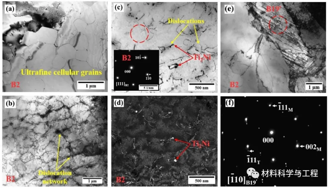 图4. SLM 3D打印样品的TEM图