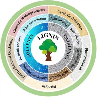 华南理工武书彬教授课题组Ind. Crop. Prod. 木质素增值综述:催化氢解领域的挑战与展望 华南理工武书彬教授课题组Ind. Crop. Prod. 木质素增值综述:催化氢解领域的挑战与展望