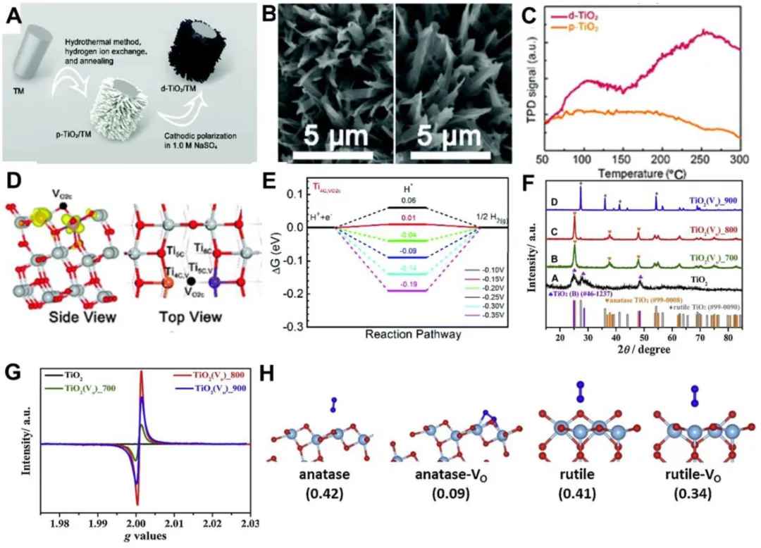 二氧化钛基材料在氮气还原中的研究进展