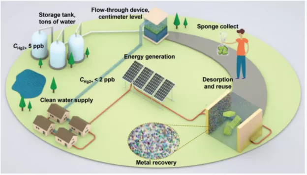 图4. 该滤膜材料地表重金属废水净化与滤材再生循环预期模式示意图 图4. 该滤膜材料地表重金属废水净化与滤材再生循环预期模式示意图