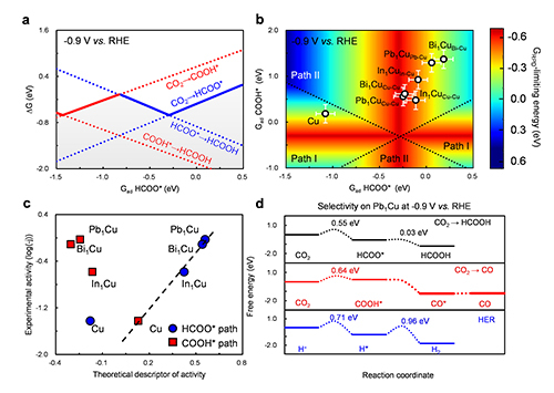 研究揭示二氧化碳高选择性电还原的“双通道”机理