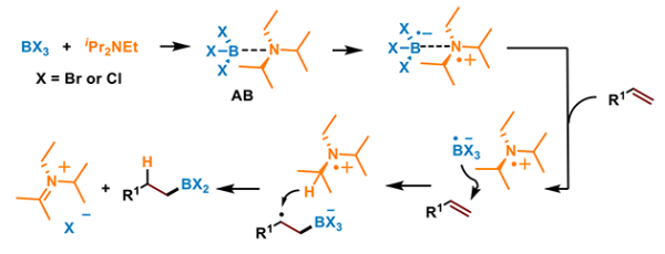 图4.推测的主要反应路径 图4.推测的主要反应路径
