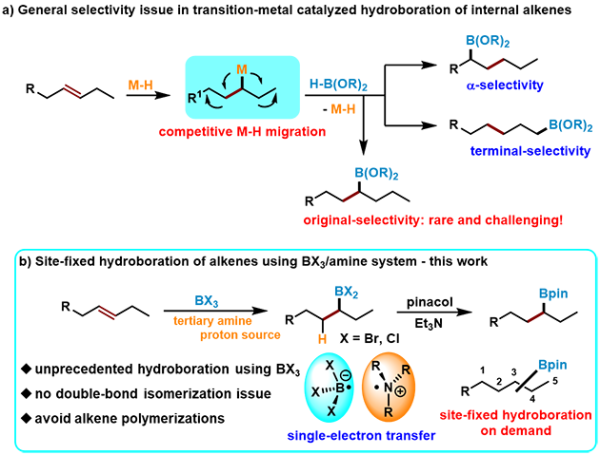 图1.烯烃固定位点选择性硼氢化反应:挑战和策略 图1.烯烃固定位点选择性硼氢化反应:挑战和策略