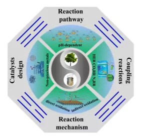 1632665146372311.jpg 电化学氧化生物质衍生5-羟甲基糠醛1.jpg