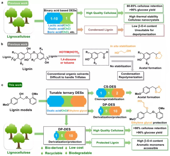 Fig. 1 Development of tunable and functional DESs for lignocellulose valorization