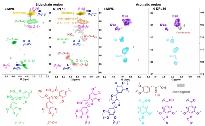 Fig. 6 Comparison of mill wood lignin (MWL) and DPL10 from birch lignocellulose