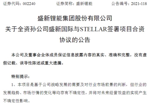 盛新锂能公告 盛新锂能公告