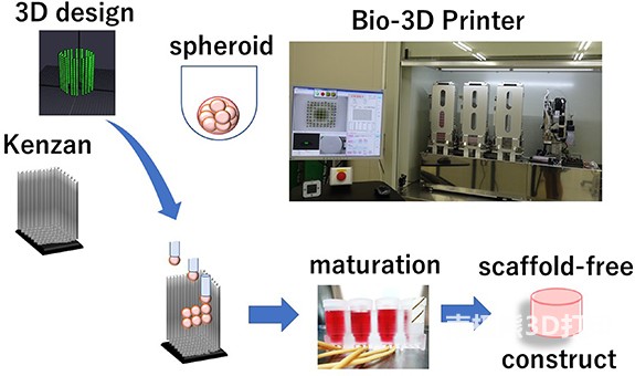 3D打印过程的示意图