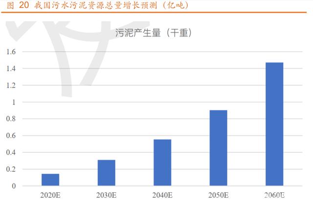 污水污泥 污水污泥
