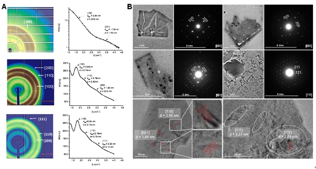 单层的超分子有机框架(ml-2D-SOF)和双层超分子有机框架(bl-2D-SOF)溶液相和固相结构有序性表征 单层的超分子有机框架(ml-2D-SOF)和双层超分子有机框架(bl-2D-SOF)溶液相和固相结构有序性表征