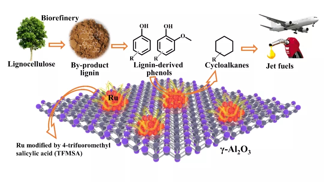 TFMSA修饰Ru/γ-Al2O3用于催化酚类物质加氢脱氧反应 TFMSA修饰Ru/γ-Al2O3用于催化酚类物质加氢脱氧反应