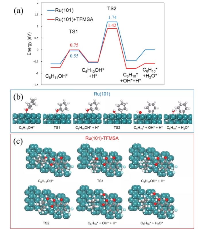 中国农大生物质工程中心 中国农大生物质工程中心