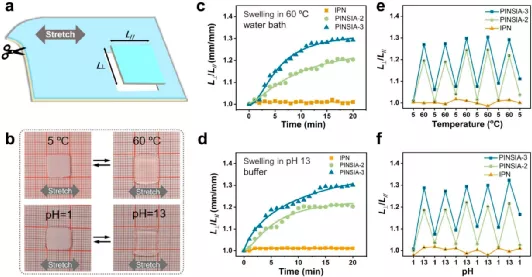 PINSIA 水凝胶的各向异性溶胀特性 PINSIA 水凝胶的各向异性溶胀特性