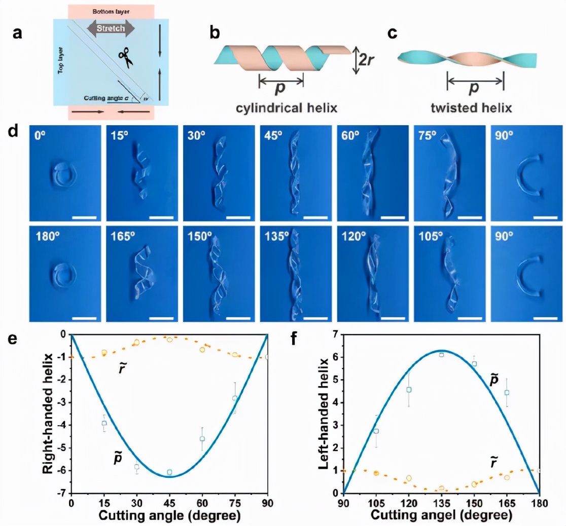 PINSIA-3 水凝胶的螺旋变形 PINSIA-3 水凝胶的螺旋变形