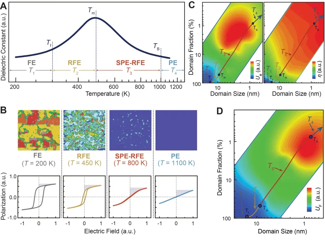 图1. 弛豫铁电中超顺电态设计及其介电、极化、储能性质的相场模拟