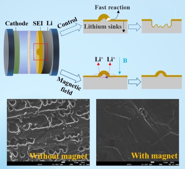 外加磁场强化界面传质抑制SEI膜的破裂 外加磁场强化界面传质抑制SEI膜的破裂