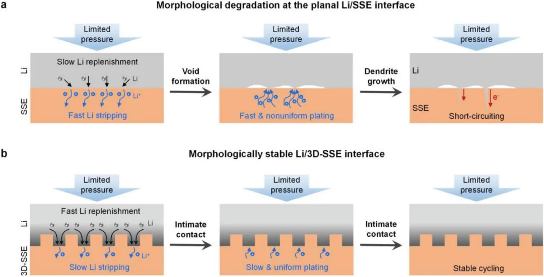 图1 界面形态演化示意图