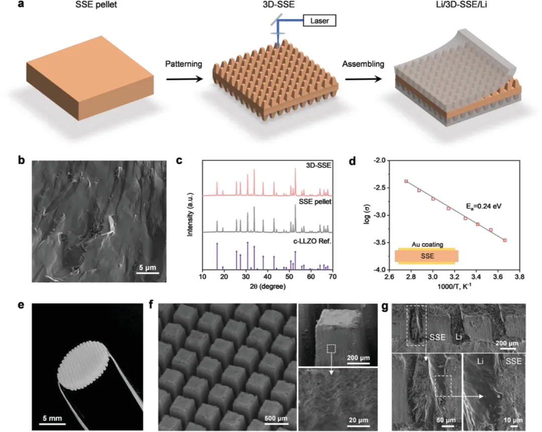 图2 Li/3D-SSE/Li电池的制备和表征