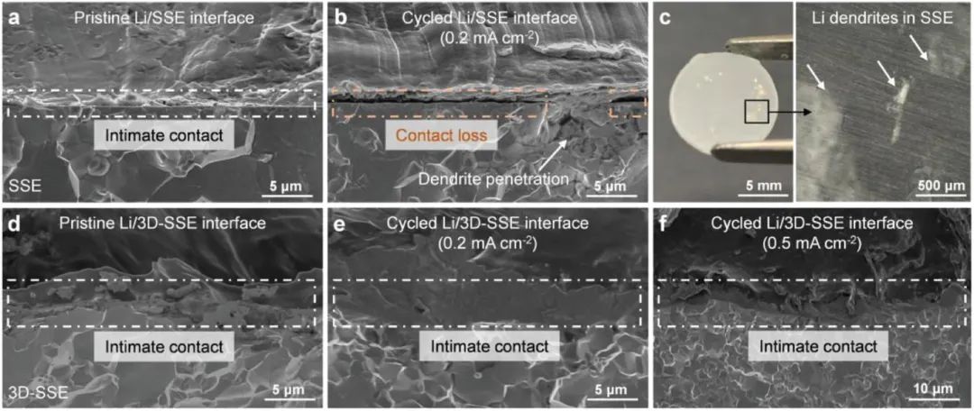 图4 Li/SSE和Li/3D-SSE界面的形态演变