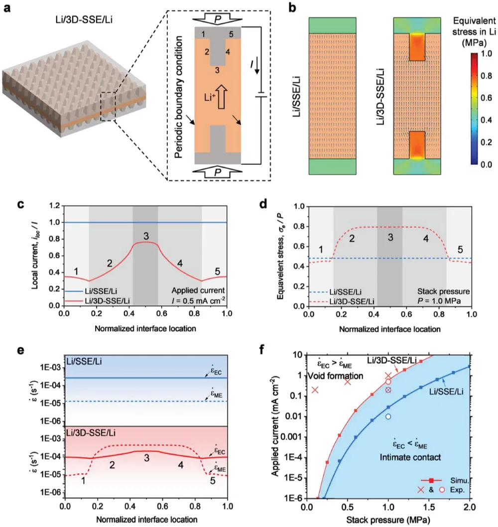 图5 界面电化学与力学的数值分析