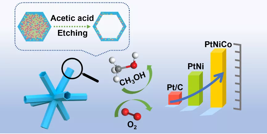 图形摘要:三元PtNiCo枝状纳米笼的设计及催化性能 图形摘要:三元PtNiCo枝状纳米笼的设计及催化性能