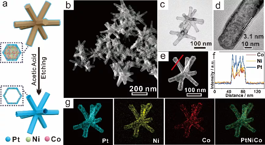 三元 PtNiCo枝状纳米笼结构表征 三元 PtNiCo枝状纳米笼结构表征